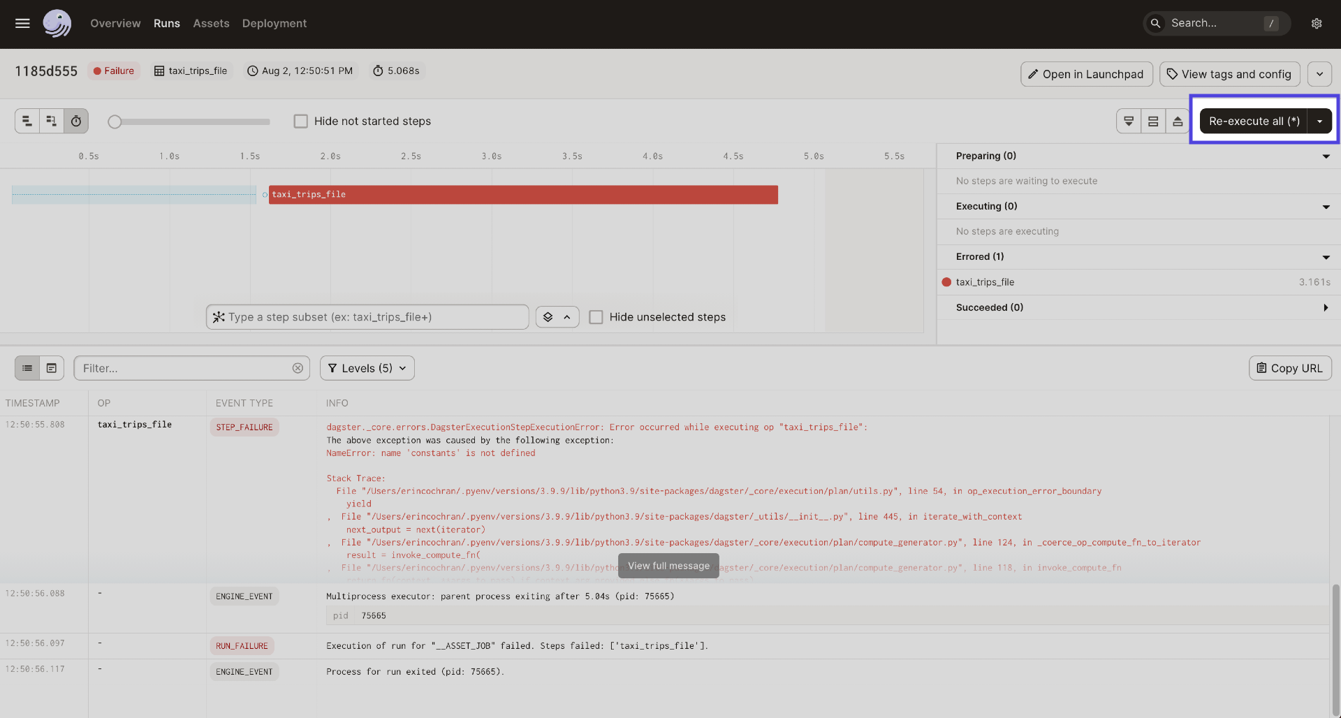 Highlighted Re-execute all button in the Run details page, located near the top-right corner