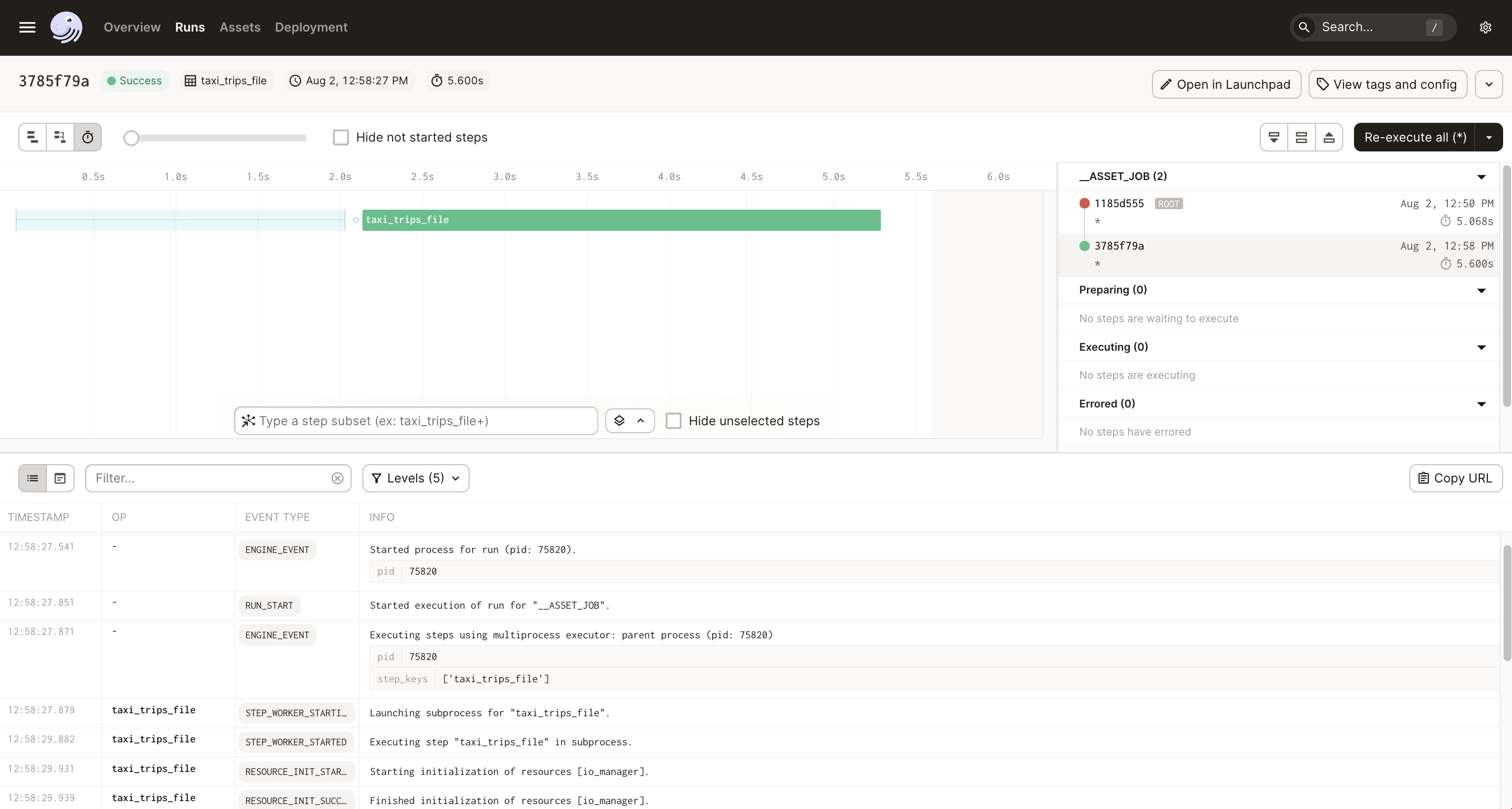 Successful run details page after the re-execution